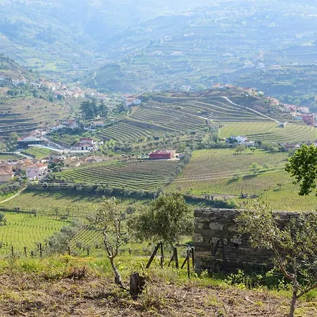 דירה Quinta Dos Padrinhos - In The Heart Of The Douro *