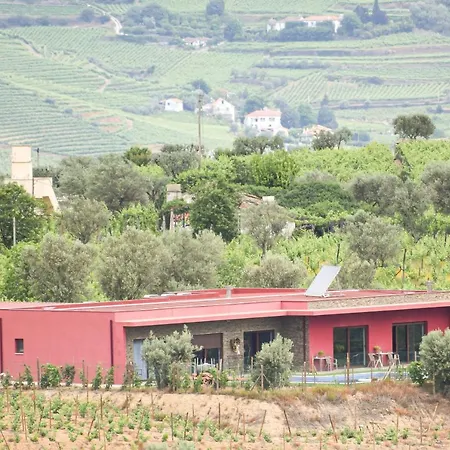 Quinta Dos Padrinhos - In The Heart Of The Douro דירה