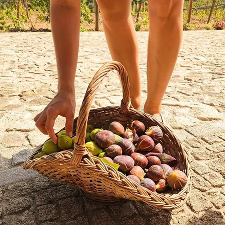 شقة Quinta Dos Padrinhos - In The Heart Of The Douro *