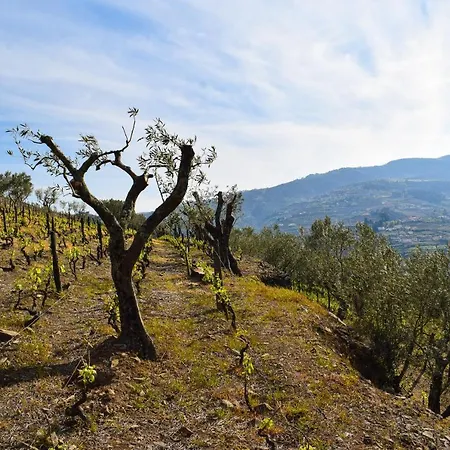 Quinta Dos Padrinhos - In The Heart Of The Douro * למאגו