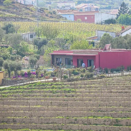 Quinta Dos Padrinhos - In The Heart Of The Douro * למאגו