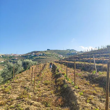 Quinta Dos Padrinhos - In The Heart Of The Douro شقة