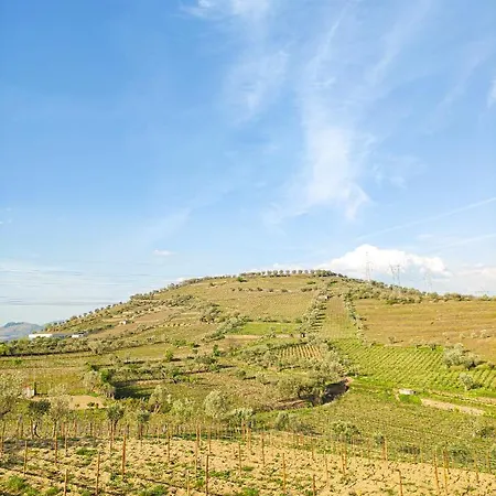 Quinta Dos Padrinhos - In The Heart Of The Douro Lamego