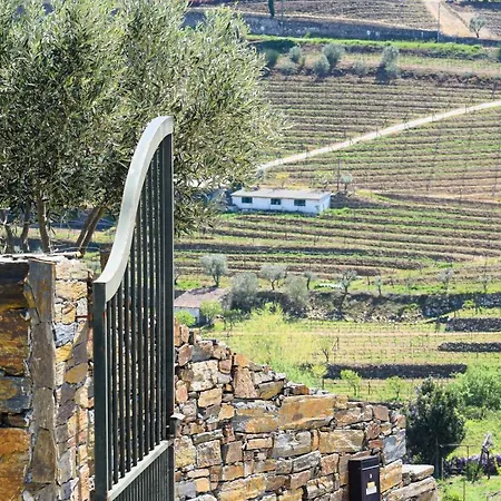 Quinta Dos Padrinhos - In The Heart Of The Douro * لاميغو