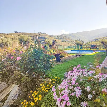 Quinta Dos Padrinhos - In The Heart Of The Douro لاميغو