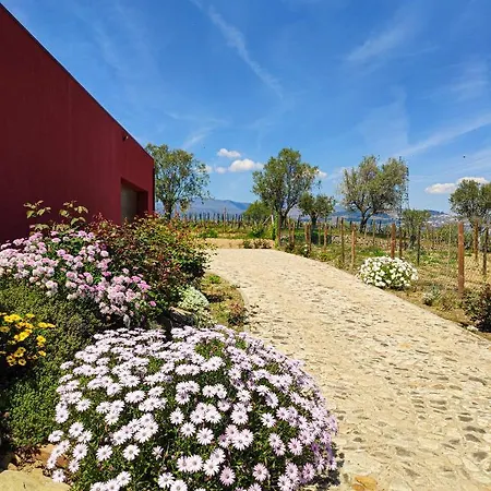 Quinta Dos Padrinhos - In The Heart Of The Douro *