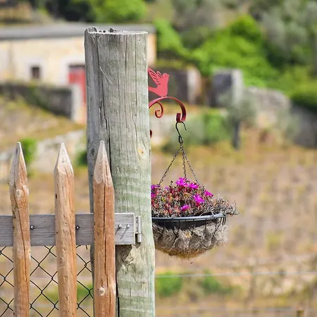 דירה Quinta Dos Padrinhos - In The Heart Of The Douro למאגו