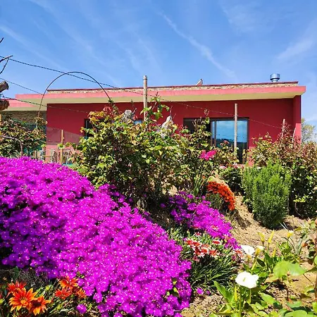 Quinta Dos Padrinhos - In The Heart Of The Douro דירה למאגו