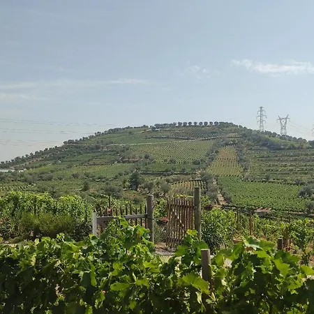 דירה Quinta Dos Padrinhos - In The Heart Of The Douro