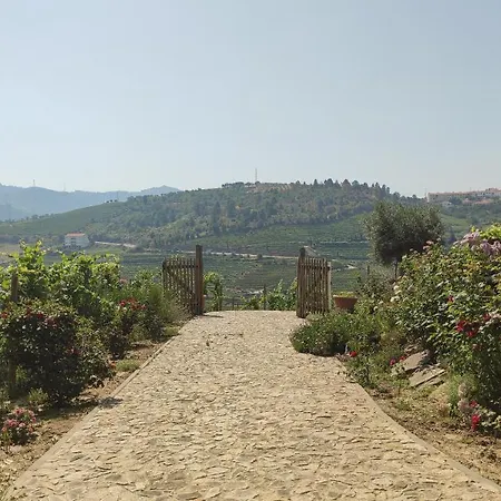 Quinta Dos Padrinhos - In The Heart Of The Douro למאגו