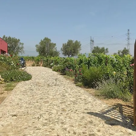 דירה Quinta Dos Padrinhos - In The Heart Of The Douro *
