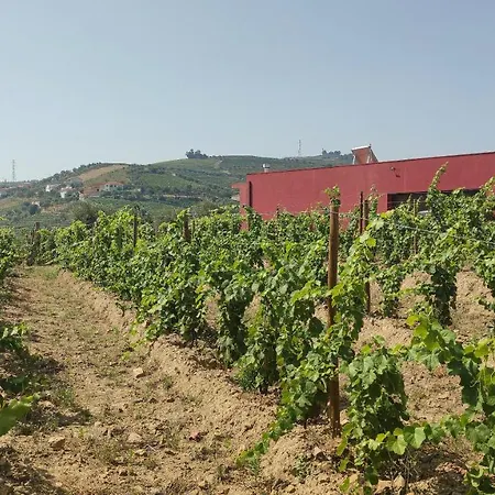 Quinta Dos Padrinhos - In The Heart Of The Douro *