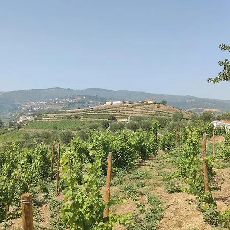 Quinta Dos Padrinhos - In The Heart Of The Douro דירה *