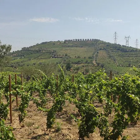 Quinta Dos Padrinhos - In The Heart Of The Douro Lamego
