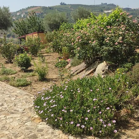 Quinta Dos Padrinhos - In The Heart Of The Douro Lägenhet Lamego