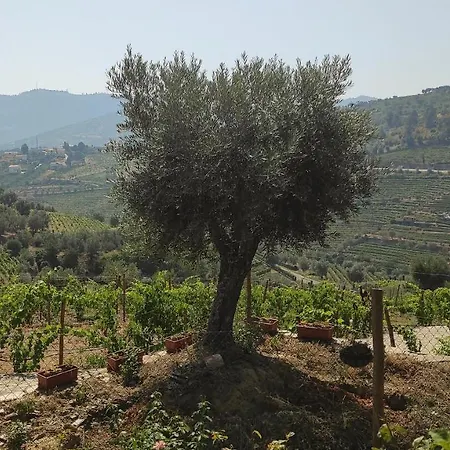 Quinta Dos Padrinhos - In The Heart Of The Douro דירה