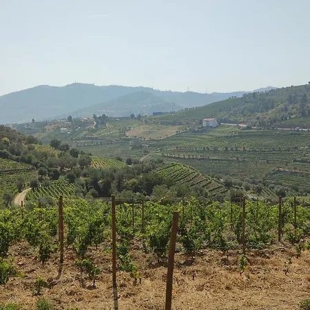 Quinta Dos Padrinhos - In The Heart Of The Douro * למאגו