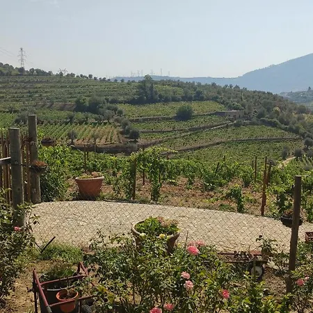 דירה Quinta Dos Padrinhos - In The Heart Of The Douro *