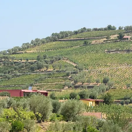 Quinta Dos Padrinhos - In The Heart Of The Douro דירה למאגו