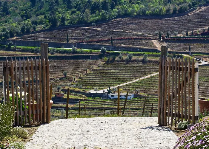 Daire Quinta Dos Padrinhos - In The Heart Of The Douro