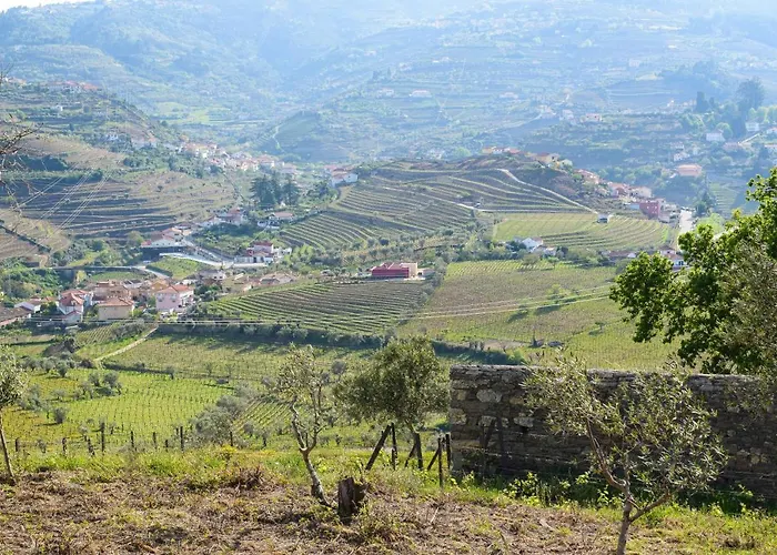 아파트 Quinta Dos Padrinhos - In The Heart Of The Douro *