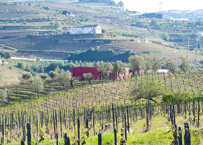 Quinta Dos Padrinhos - In The Heart Of The Douro