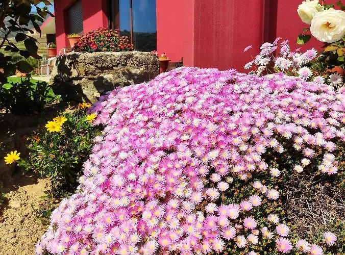 Quinta Dos Padrinhos - In The Heart Of The Douro 아파트 라메구