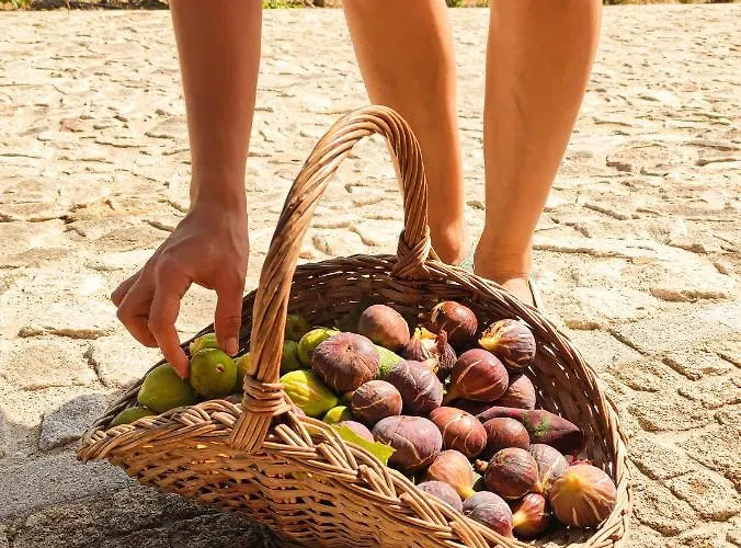 아파트 Quinta Dos Padrinhos - In The Heart Of The Douro *