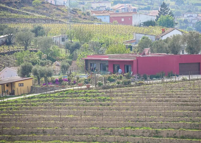 Quinta Dos Padrinhos - In The Heart Of The Douro * Lamego