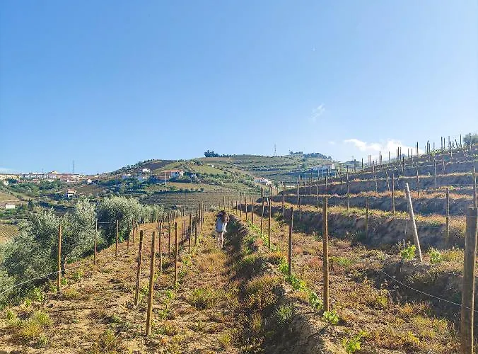 Quinta Dos Padrinhos - In The Heart Of The Douro Appartement