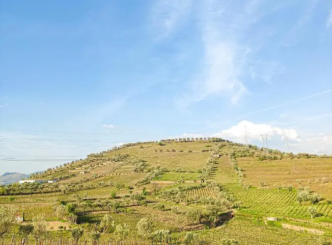 Quinta Dos Padrinhos - In The Heart Of The Douro 라메구