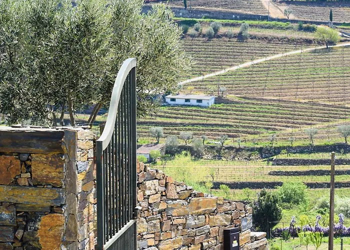 Quinta Dos Padrinhos - In The Heart Of The Douro * Lamego