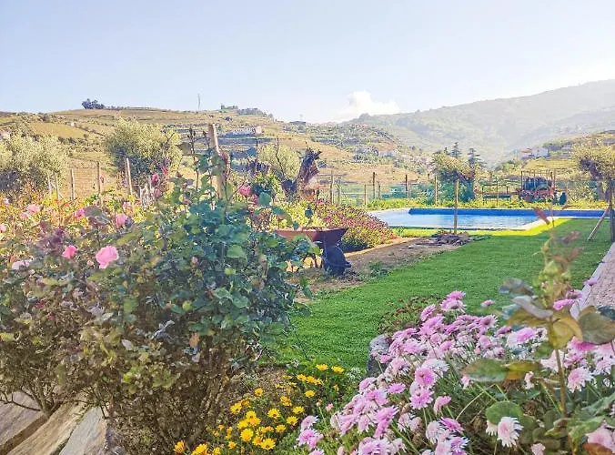 Quinta Dos Padrinhos - In The Heart Of The Douro 라메구