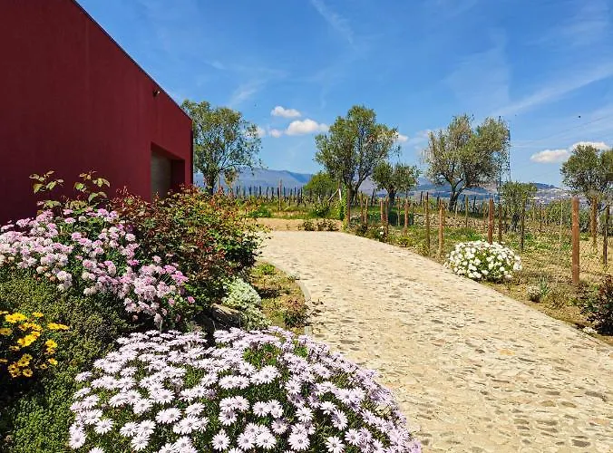 Quinta Dos Padrinhos - In The Heart Of The Douro *