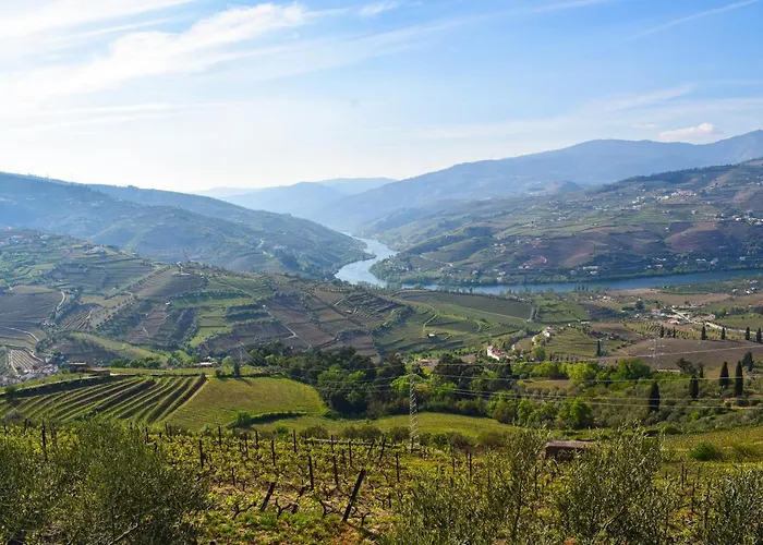 Quinta Dos Padrinhos - In The Heart Of The Douro Daire *