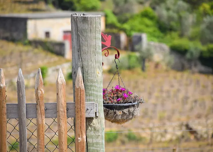 Appartement Quinta Dos Padrinhos - In The Heart Of The Douro Lamego