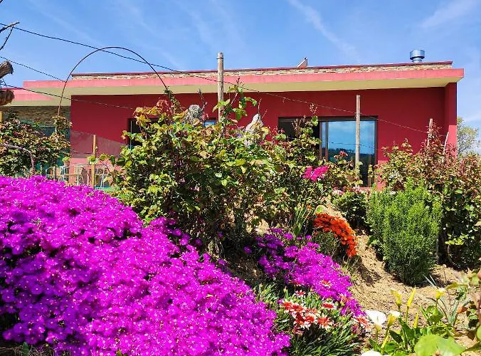 Quinta Dos Padrinhos - In The Heart Of The Douro 아파트 라메구