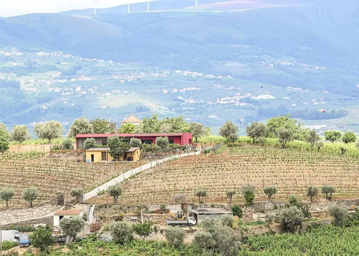 Quinta Dos Padrinhos - In The Heart Of The Douro *