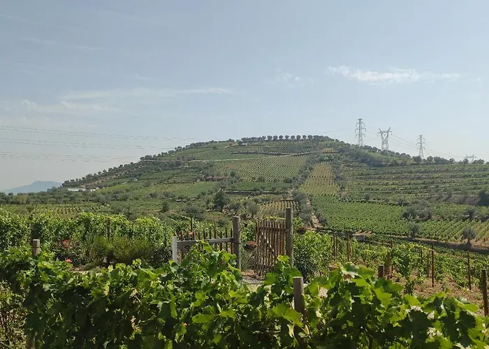 Appartement Quinta Dos Padrinhos - In The Heart Of The Douro