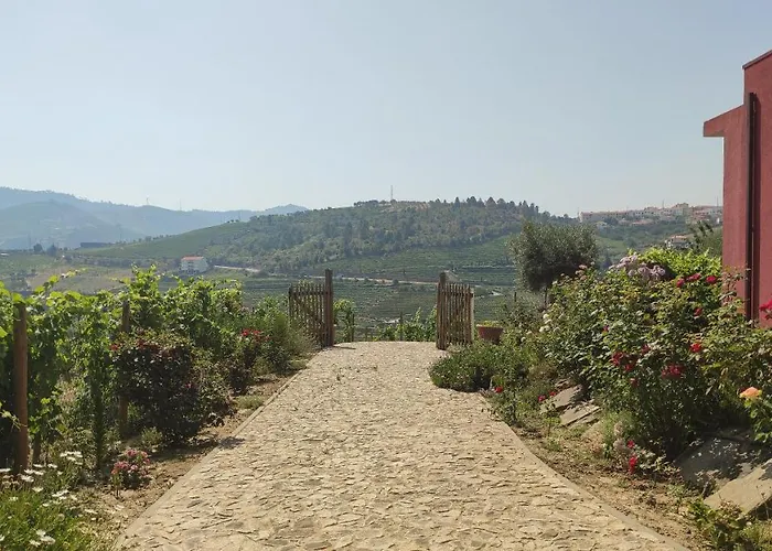 Quinta Dos Padrinhos - In The Heart Of The Douro Lamego