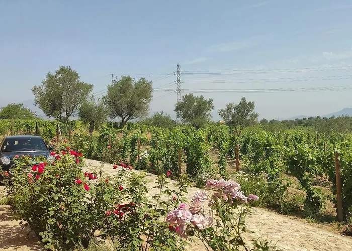 Quinta Dos Padrinhos - In The Heart Of The Douro 라메구