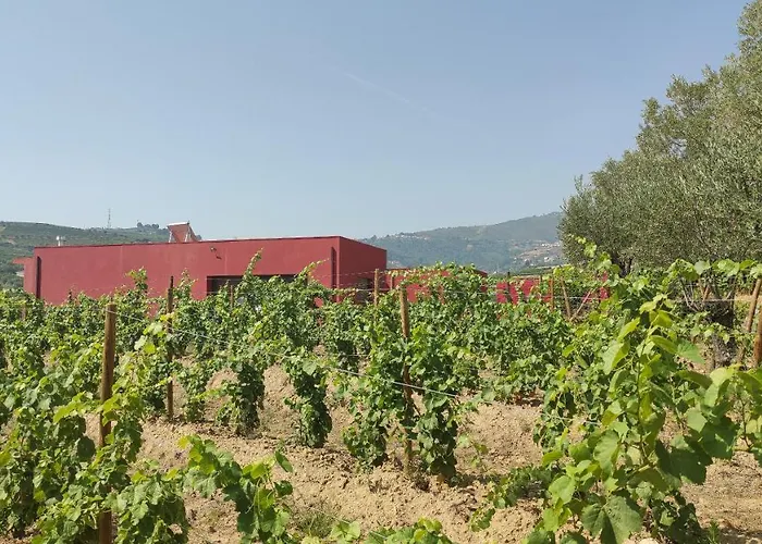 Apartamento Quinta Dos Padrinhos - In The Heart Of The Douro