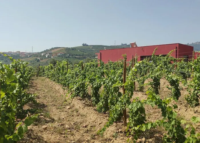 Quinta Dos Padrinhos - In The Heart Of The Douro *