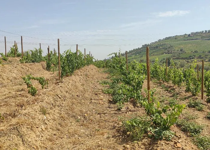 아파트 Quinta Dos Padrinhos - In The Heart Of The Douro