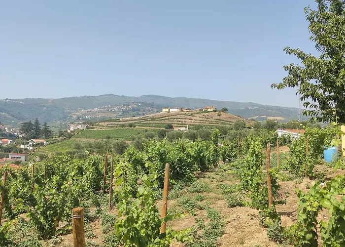 Quinta Dos Padrinhos - In The Heart Of The Douro 아파트 *