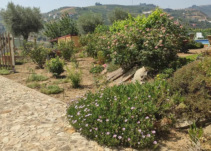 Quinta Dos Padrinhos - In The Heart Of The Douro Apartamento Lamego