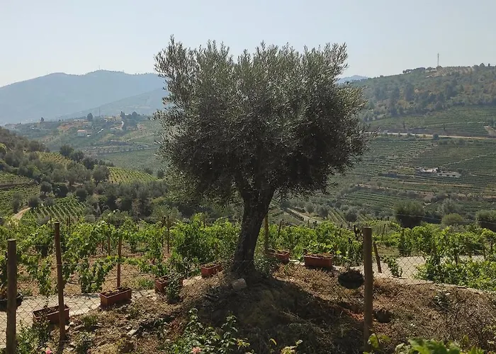 Quinta Dos Padrinhos - In The Heart Of The Douro 아파트