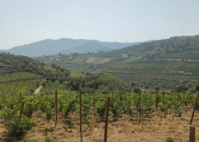 Quinta Dos Padrinhos - In The Heart Of The Douro * 라메구