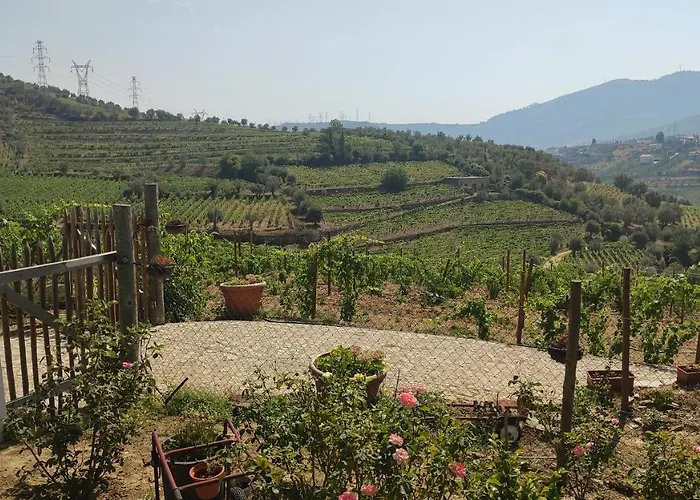 Daire Quinta Dos Padrinhos - In The Heart Of The Douro *