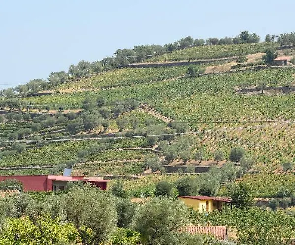 Quinta Dos Padrinhos - In The Heart Of The Douro Daire Lamego